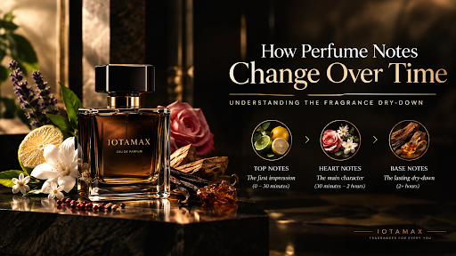 Perfume Notes Change Over Time